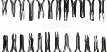 24 kieferorthopädische Zangen Kieferorthopädie Zahntechnik Bracket -  KFO-Zange